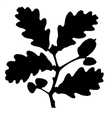 nationaltrust.org.uk