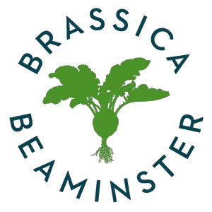 brassicarestaurant.co.uk