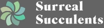 surrealsucculents.co.uk