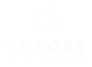 theorywellness.org