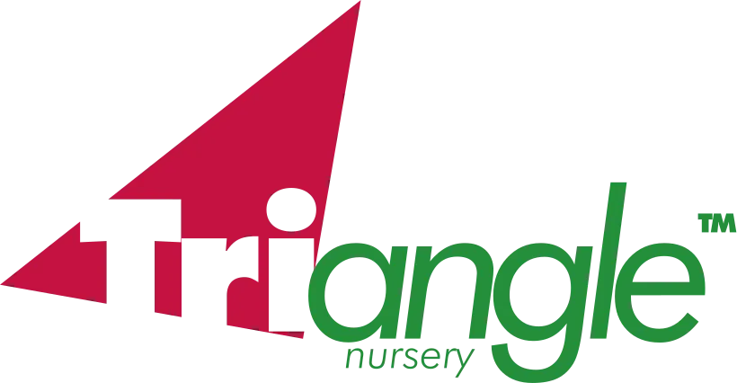 trianglenursery.co.uk