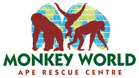 monkeyworld.org