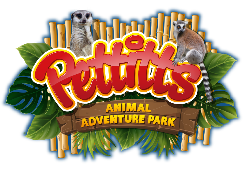 pettittsadventurepark.co.uk