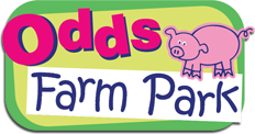 oddsfarm.co.uk