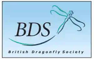 british-dragonflies.org.uk