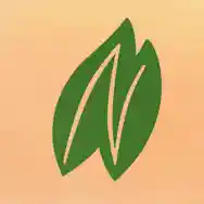 enaissance.co.uk