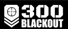  300 Blackout Promo Codes
