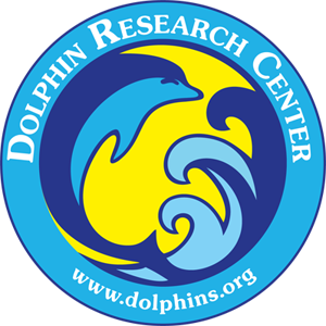 dolphins.org
